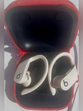 Beats Powerbeats Pro Wireless Earbuds